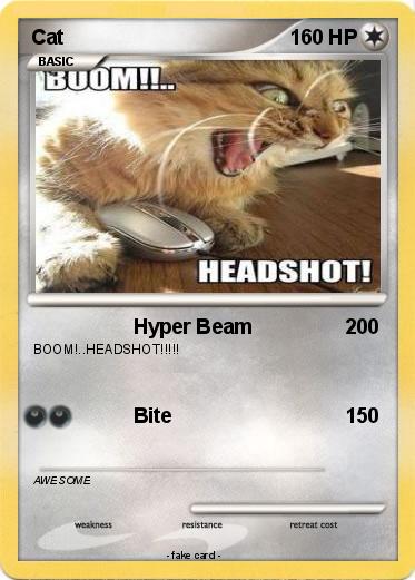 Pokemon Cat