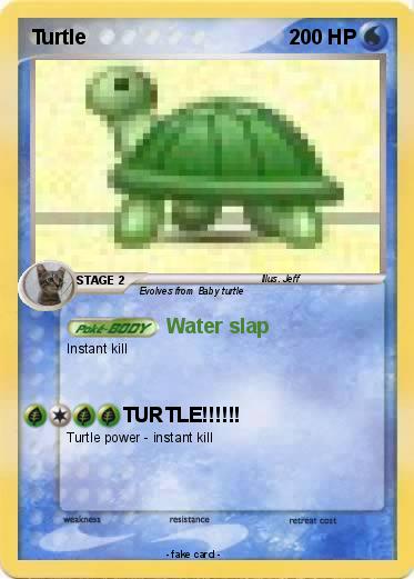 Pokemon Turtle