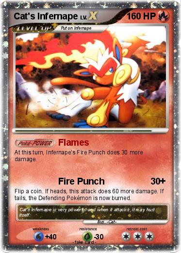 Pokemon Cat's Infernape