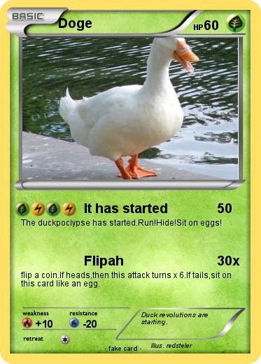 Pokemon Doge