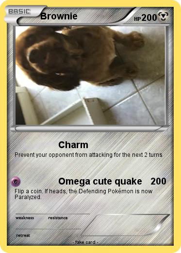 Pokemon Brownie