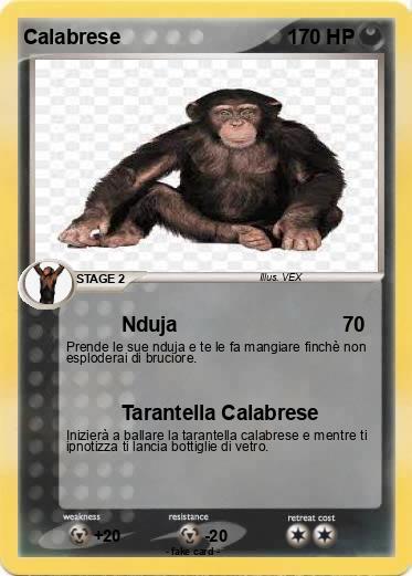 Pokemon Calabrese