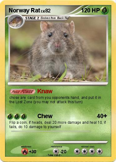 Pokemon Norway Rat