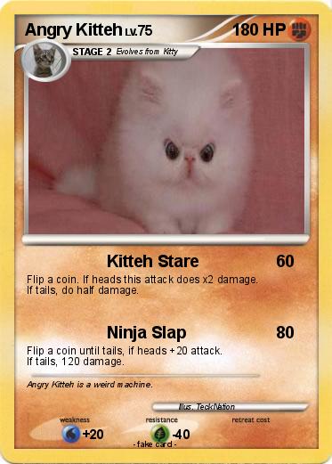 Pokemon Angry Kitteh