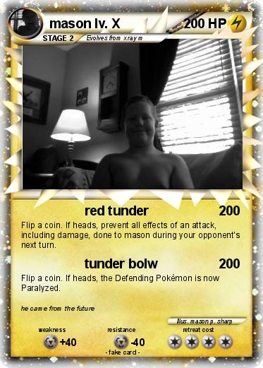 Pokemon mason lv. X