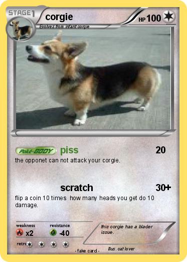 Pokemon corgie