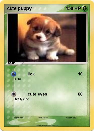 Pokemon cute puppy