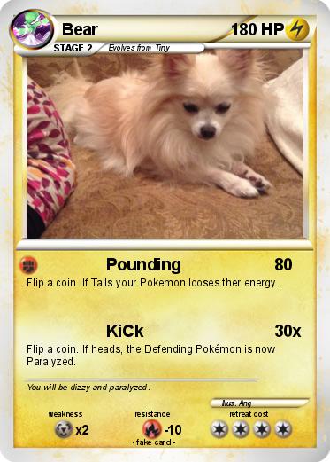 Pokemon Bear
