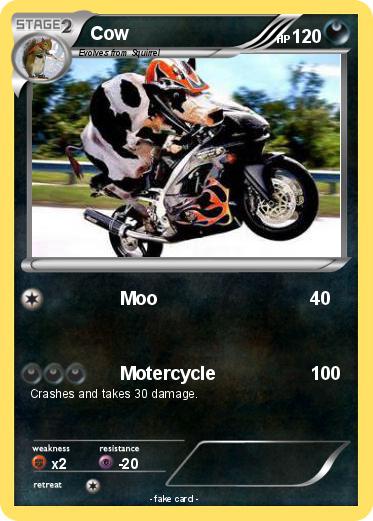 Pokemon Cow