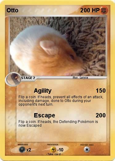 Pokemon Otto