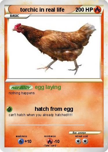 Pokemon torchic in real life