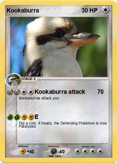 Pokemon Kookaburra