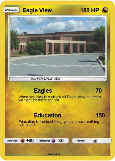 Pokemon Eagle View