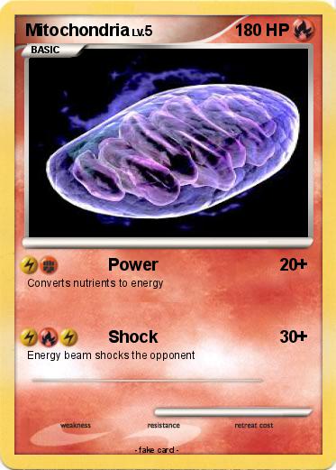 Pokemon Mitochondria