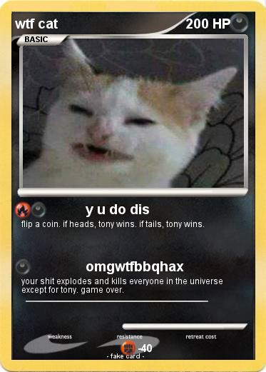 Pokemon wtf cat