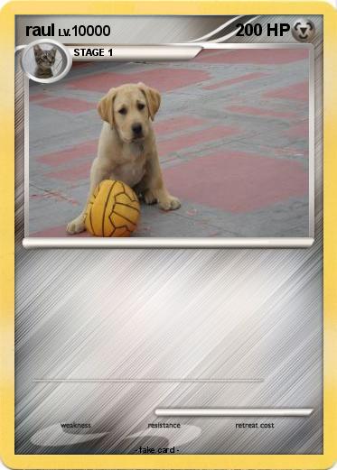 Pokemon raul