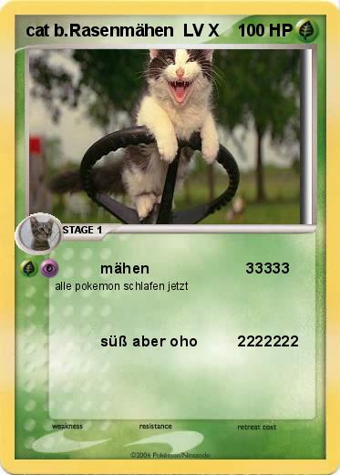 Pokemon cat b.Rasenmähen  LV X