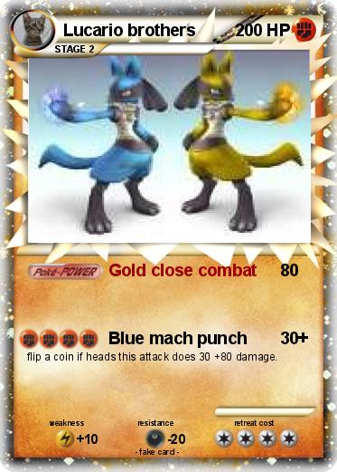 Pokemon Lucario brothers