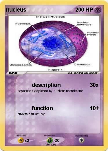 Pokemon nucleus