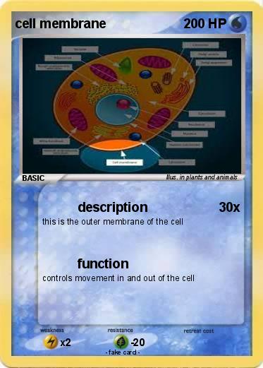 Pokemon cell membrane