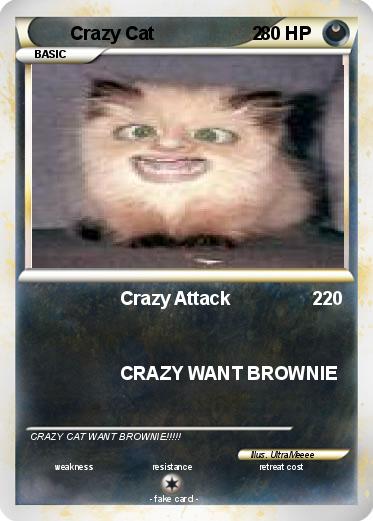 Pokemon Crazy Cat                   2