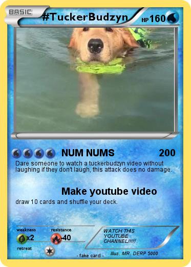 Pokemon #TuckerBudzyn