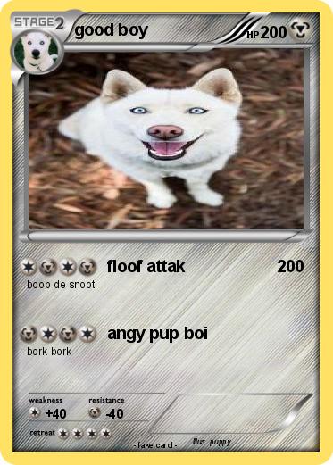 Pokemon good boy