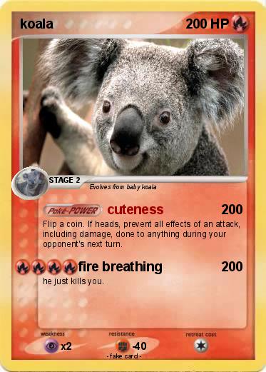 Pokemon koala