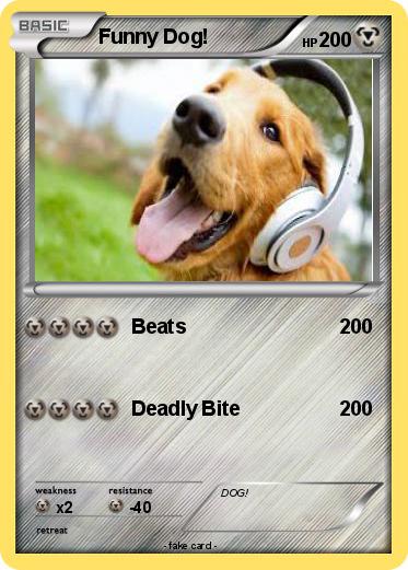 Pokemon Funny Dog!