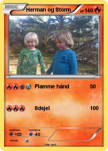 Pokemon Herman og Storm