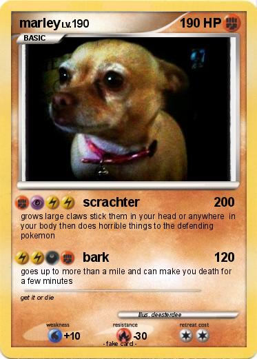 Pokemon marley