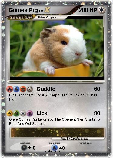 Pokemon Guinea Pig