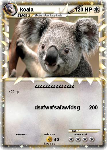 Pokemon koala