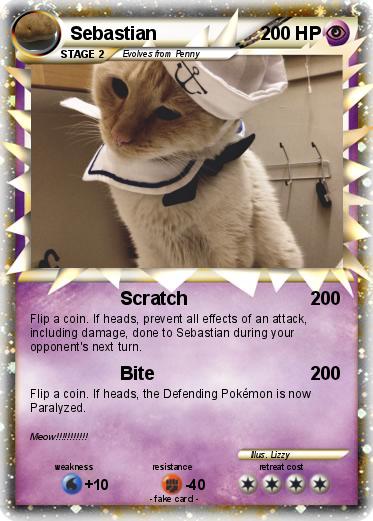 Pokemon Sebastian