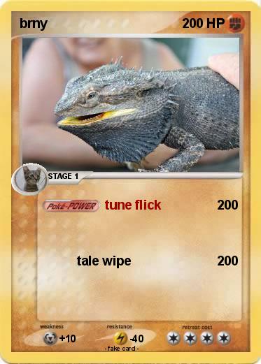 Pokemon brny