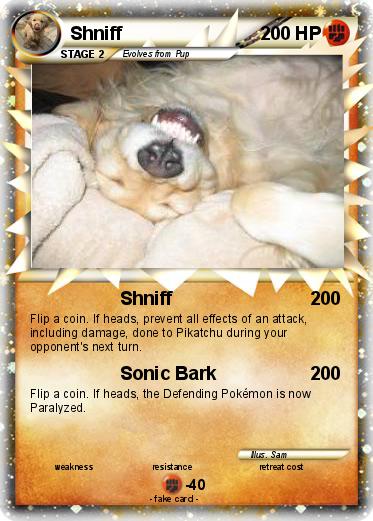 Pokemon Shniff