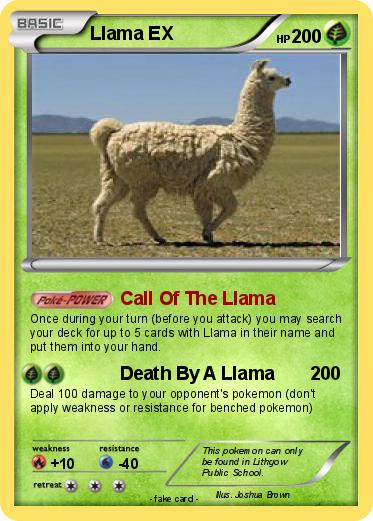 Pokemon Llama EX