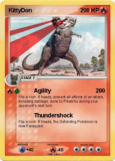 Pokemon KittyDon