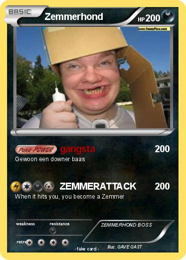 Pokemon Zemmerhond