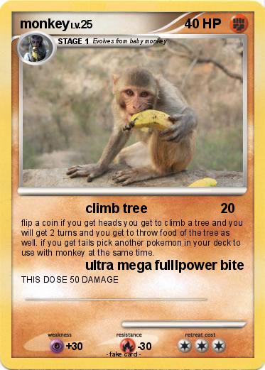 Pokemon monkey