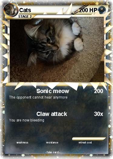 Pokemon Cats