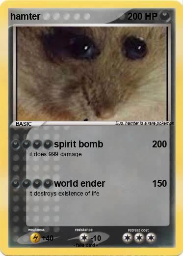 Pokemon hamter