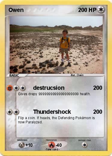 Pokemon Owen