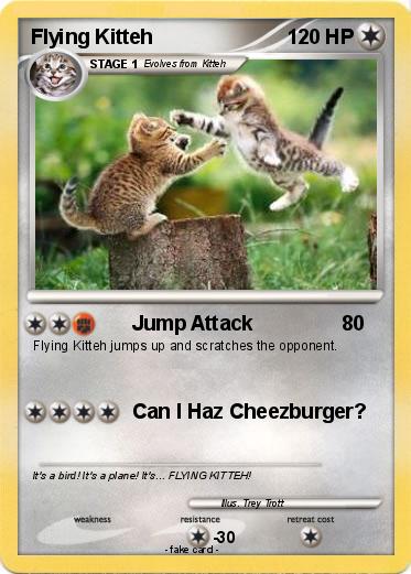 Pokemon Flying Kitteh