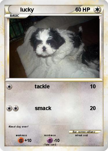 Pokemon lucky
