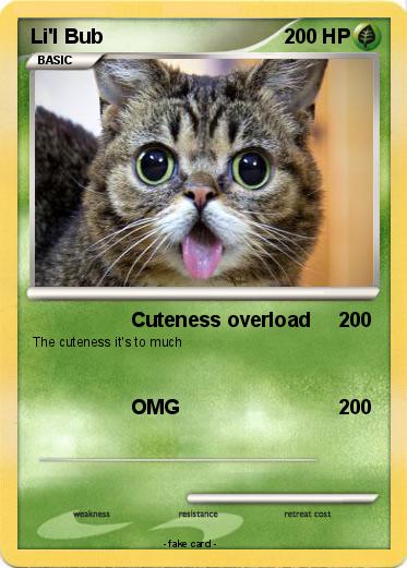 Pokemon Li'l Bub