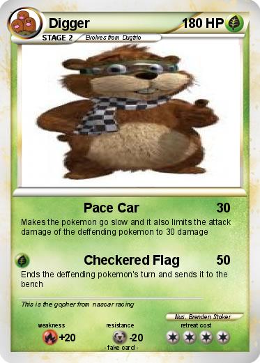Pokemon Digger