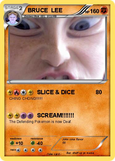 Pokemon BRUCE  LEE