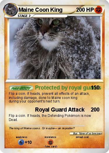 Pokemon Maine Coon King