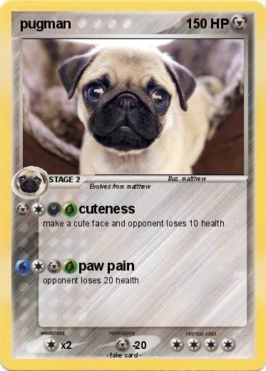 Pokemon pugman